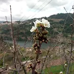 Douro Balcony *