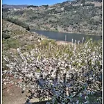 Douro Balcony * Resende