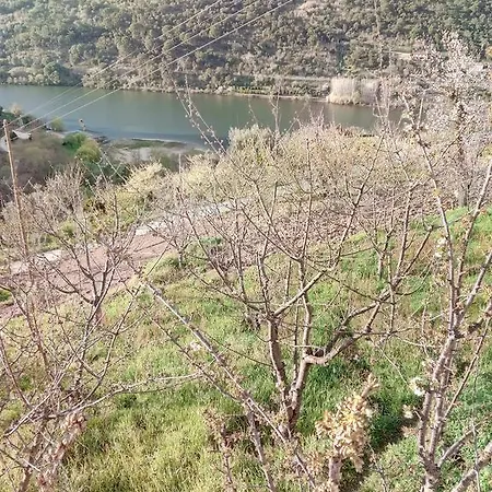 Hébergement de vacances Douro Balcony Resende