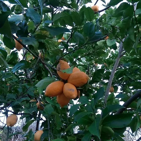 Douro Balcony Resende