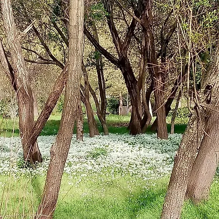 Douro Balcony Casa vacanze Resende