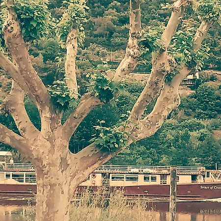 Douro Balcony Ferienhaus Resende