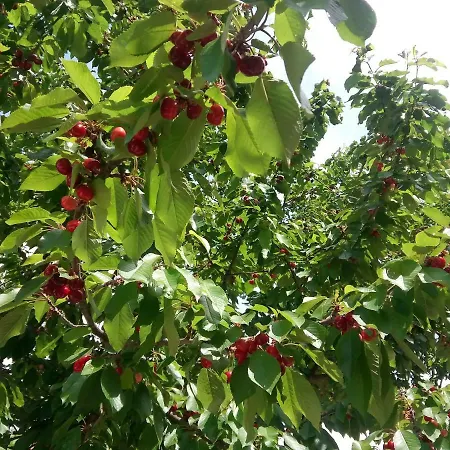 Casa vacanze Douro Balcony