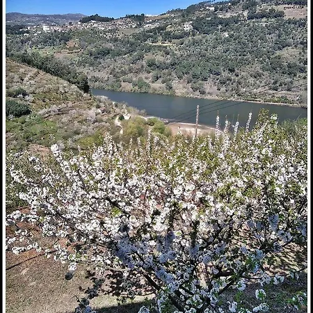 Douro Balcony * Resende