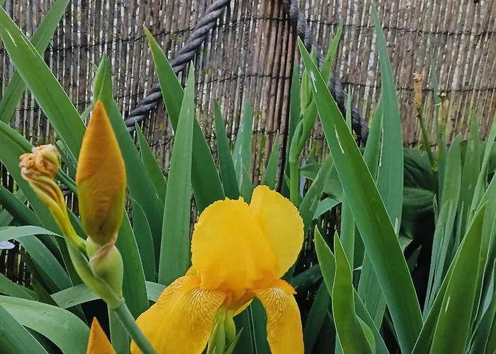 펜션 Douro Balcony