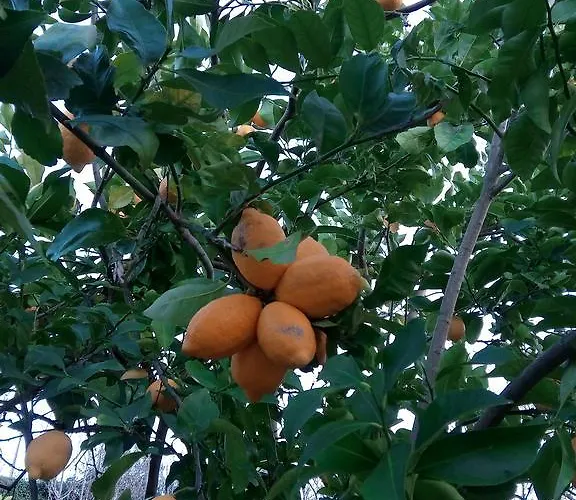 Douro Balcony Resende