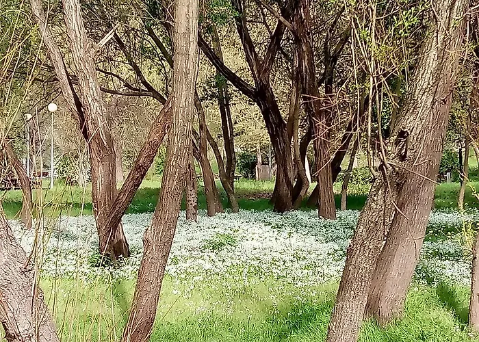Douro Balcony Tatil Evi Resende