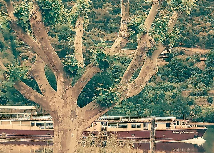 Douro Balcony 펜션 레센데