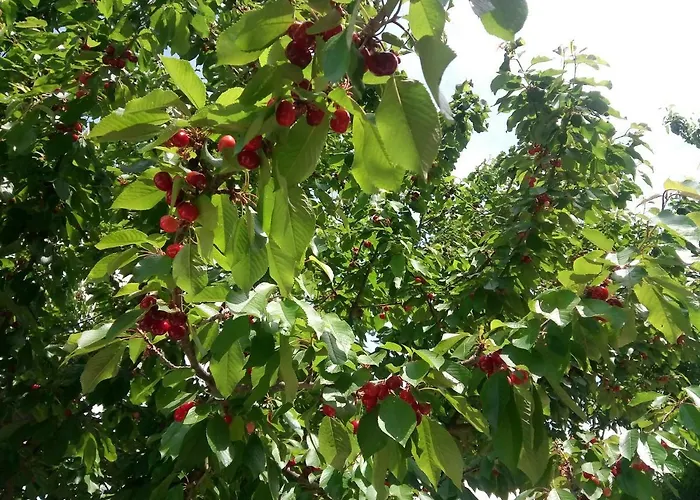 Prázdninový dům Douro Balcony