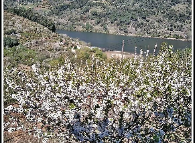 Douro Balcony * Resende